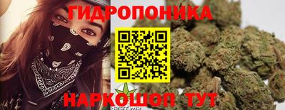 МДПВ Рыбинск
