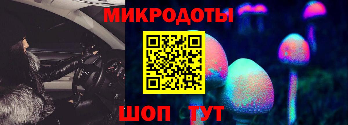 Саранск  Псилоцибиновые грибы прущие грибы  Вход с VPN  Галлюциногенные грибы мицелий 